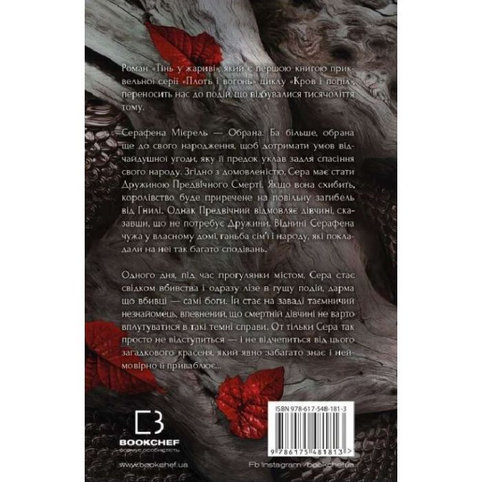 Книга Плоть і вогонь. Книга 1: Тінь у жариві - Дженніфер Л. Арментраут BookChef (9786175481813) зображення 3