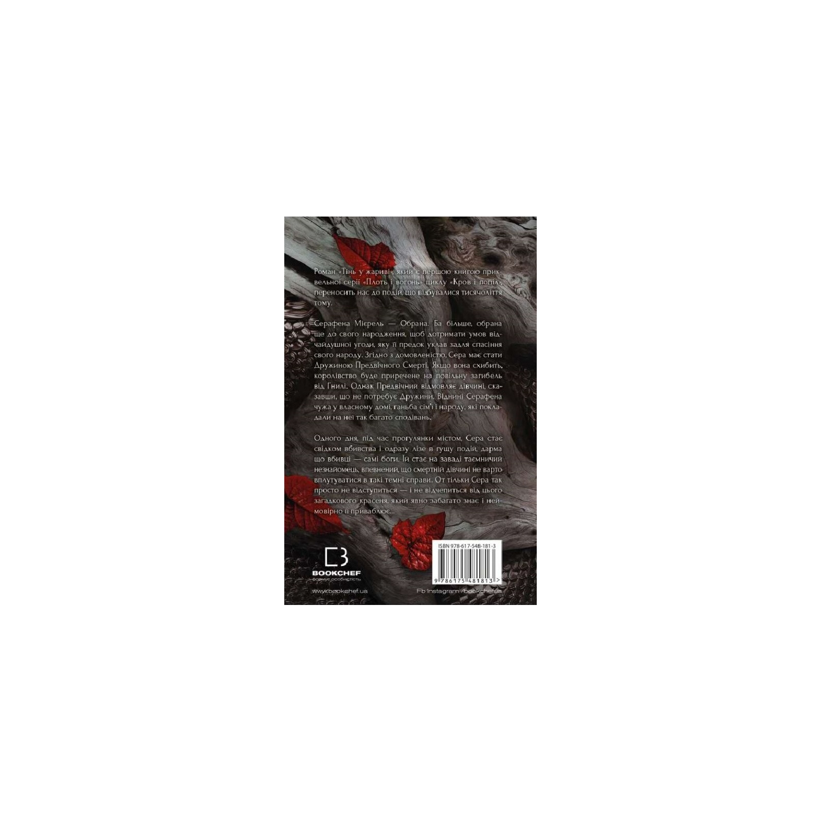 Книга Плоть і вогонь. Книга 1: Тінь у жариві - Дженніфер Л. Арментраут BookChef (9786175481813) зображення 3