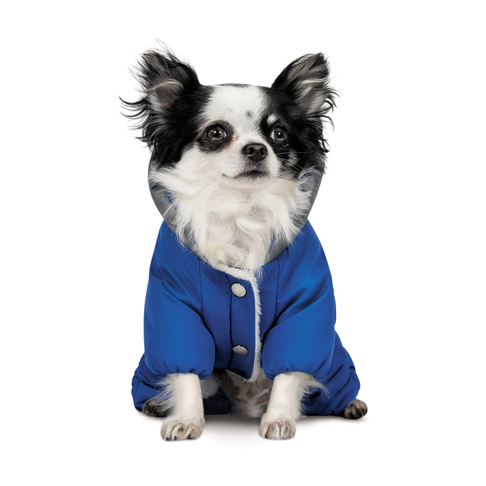 Костюм для животных Pet Fashion ZHAN XS2 (4823082432387) изображение 4