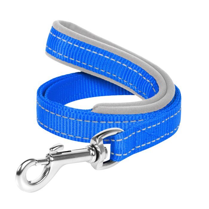 Повідець для собак Dog Extreme з нейлону з прогумованою ручкою Ш 25 мм Д 122 см блакитний (43172) зображення 2