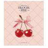 Зошит Школярик Fine art 48 аркушів клітинка (048-3505K)