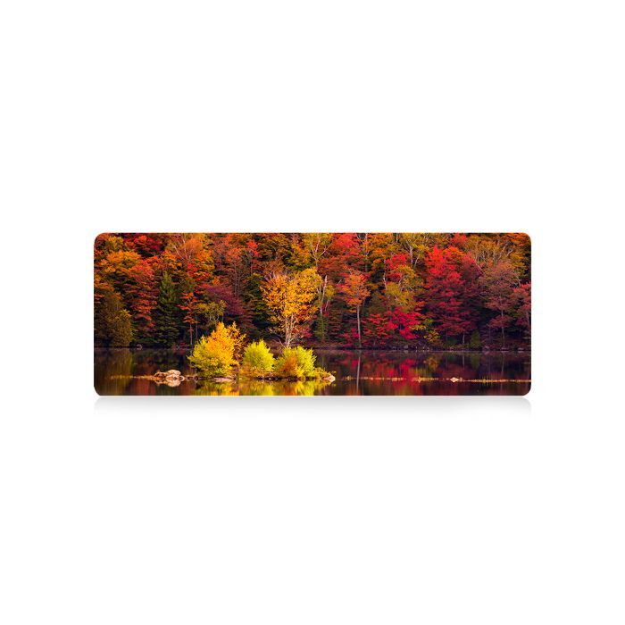 Коврик для мышки Voltronic Autumn forest (AT372)