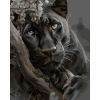 Картина по номерам Santi "Чорна пантера", 40*50см (955763)