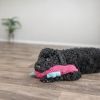 Игрушка для собак Trixie Морской конек 28 см розовая (4011905858159) изображение 3