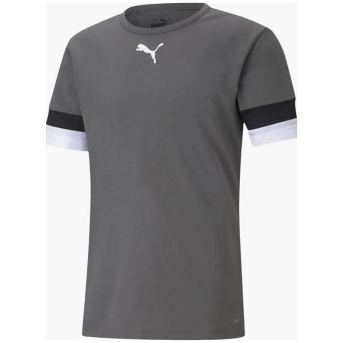 Футболка Puma teamRISE Jersey 704932-13 сірий XL (4063699213300)
