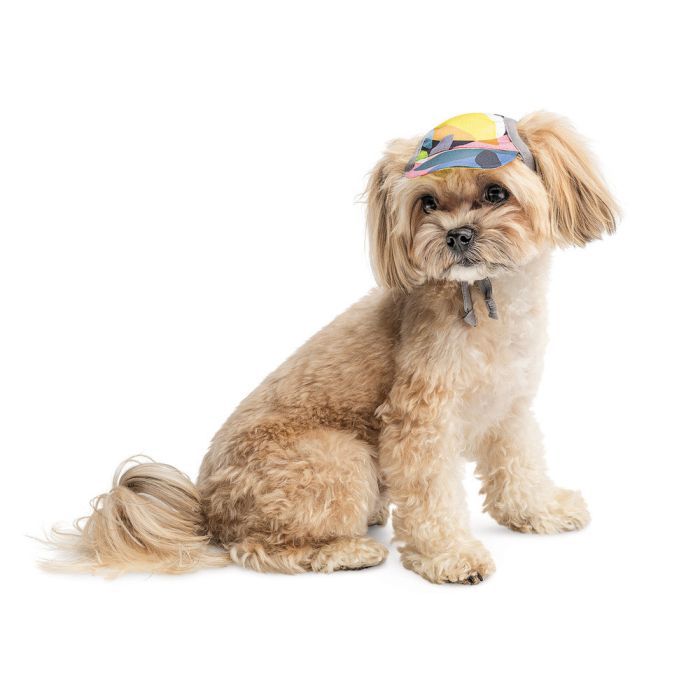 Кепка для животных Pet Fashion Tony L (4823082442126) изображение 3