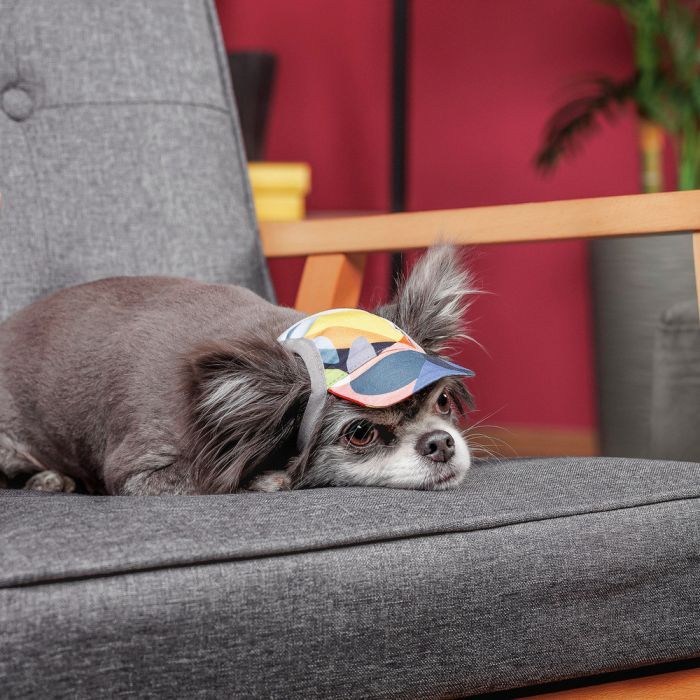 Кепка для животных Pet Fashion Tony L (4823082442126) изображение 4