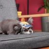 Кепка для животных Pet Fashion Tony L (4823082442126) изображение 4