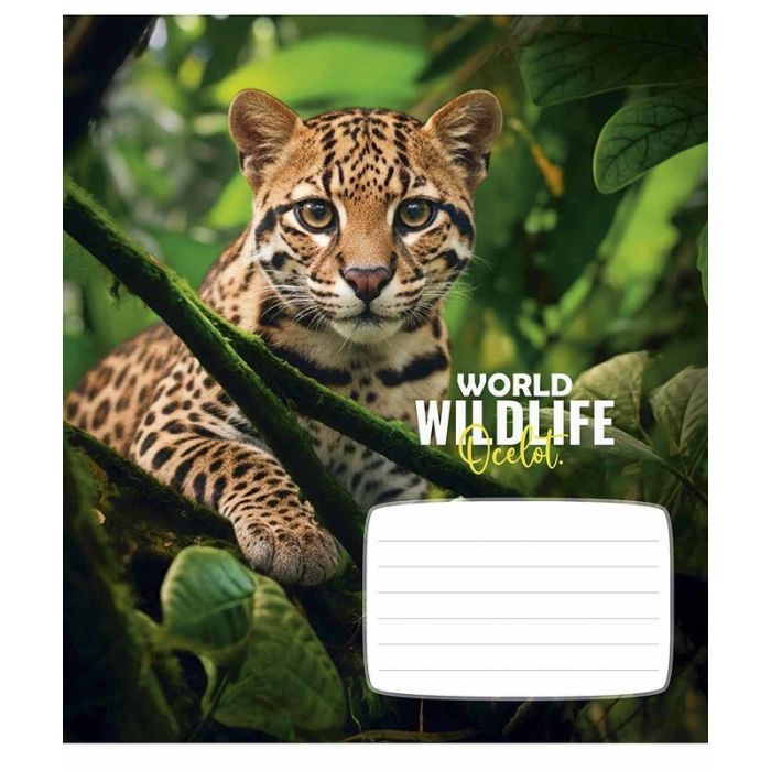 Зошит Школярик Wildlife 12 аркушів клітинка (012-3679K) зображення 2