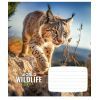Зошит Школярик Wildlife 12 аркушів клітинка (012-3679K)