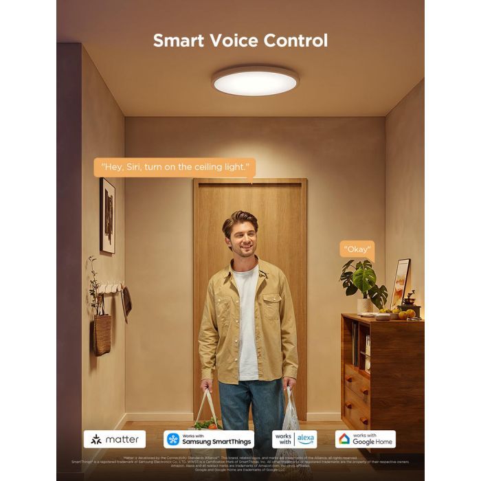 Світильник Govee 12" Smart Ceiling Light, RGBWW + RGBIC, WI-FI/Bluetooth, білий (H80A1C01) зображення 8
