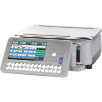 Весы торговые Digi SM-5300 BS Ethernet (2060170241)