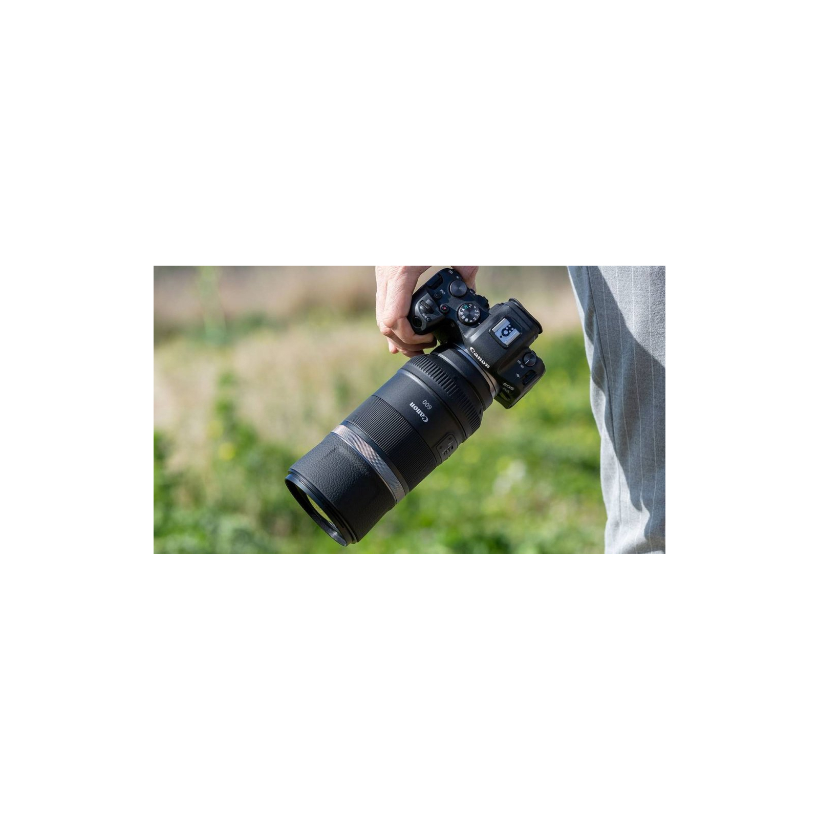 Объектив Canon RF 600mm f/11 IS STM (3986C005) изображение 2