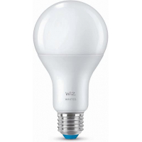 Умная лампочка WiZ E27 13W (100W 1520Lm) A67 2700-6500K Wi-Fi (929002449602) изображение 4