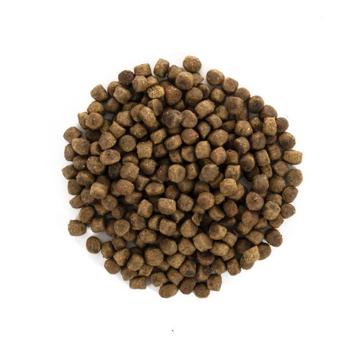 Сухой корм для кошек Brit Care Cat GF Kitten HGrowth and Development 7 кг (8595602540662) изображение 4