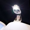 Закладки для книг Flexilight ліхтарик Rechargeable - Панда (FLRPPA) зображення 7