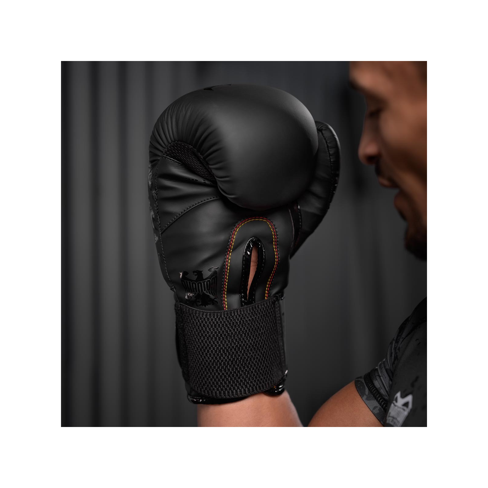 Боксерские перчатки Phantom Germany Eagle Black 16oz (PHBG2323-16) изображение 5