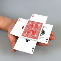 Карты игральные Bicycle для фокусов Haunted deck (BHD11) изображение 2