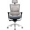Офисное кресло GT Racer X-802 Bright Gray (X-802 Bright Gray (W-20 B-40)) изображение 2
