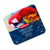 Карандаши цветные Derwent Chromaflow 48 цв. в металлическом пенале (5028252627511) изображение 8