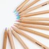 Карандаши цветные Bruynzeel EXPRESSION PASTEL, 12 цветов (8712079468415) изображение 5