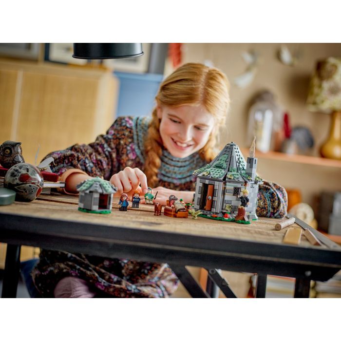 Конструктор LEGO Harry Potter Домик Хагрида: Неожиданные гости 896 деталей (76428) изображение 10