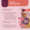 Вологий корм для кішок Delickcious Напій з куркою 140 г (4820269141582) зображення 3