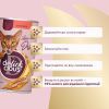 Вологий корм для кішок Delickcious Напій з куркою 140 г (4820269141582) зображення 5