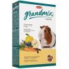 Корм для грызунов Padovan GrandMix Cavie для морских свинок 850 г (8001254001906)