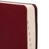 Тижневик Leo planner датований 2026 "Alpha", м‘який, бордовий, 352 сторінки (252630) зображення 2