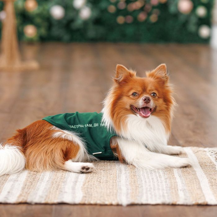 Борцовка для животных Pet Fashion Kale S зеленая (4823082441778) изображение 4
