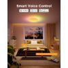 Світильник Govee 38cm Smart Ceiling Light Pro, RGBICWW, WI-FI/Bluetooth, білий (H60A6C01) зображення 16