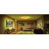 Світильник Govee 38cm Smart Ceiling Light Pro, RGBICWW, WI-FI/Bluetooth, білий (H60A6C01) зображення 7