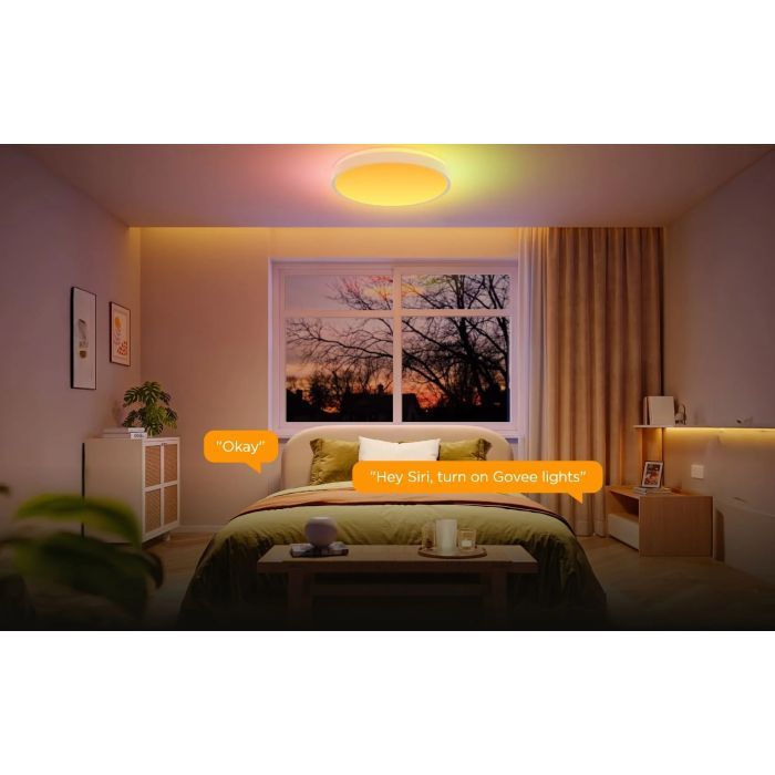Світильник Govee 38cm Smart Ceiling Light Pro, RGBICWW, WI-FI/Bluetooth, білий (H60A6C01) зображення 9