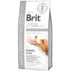 Сухий корм для собак Brit GF VetDiets Dog Mobility 12 кг (8595602528240)
