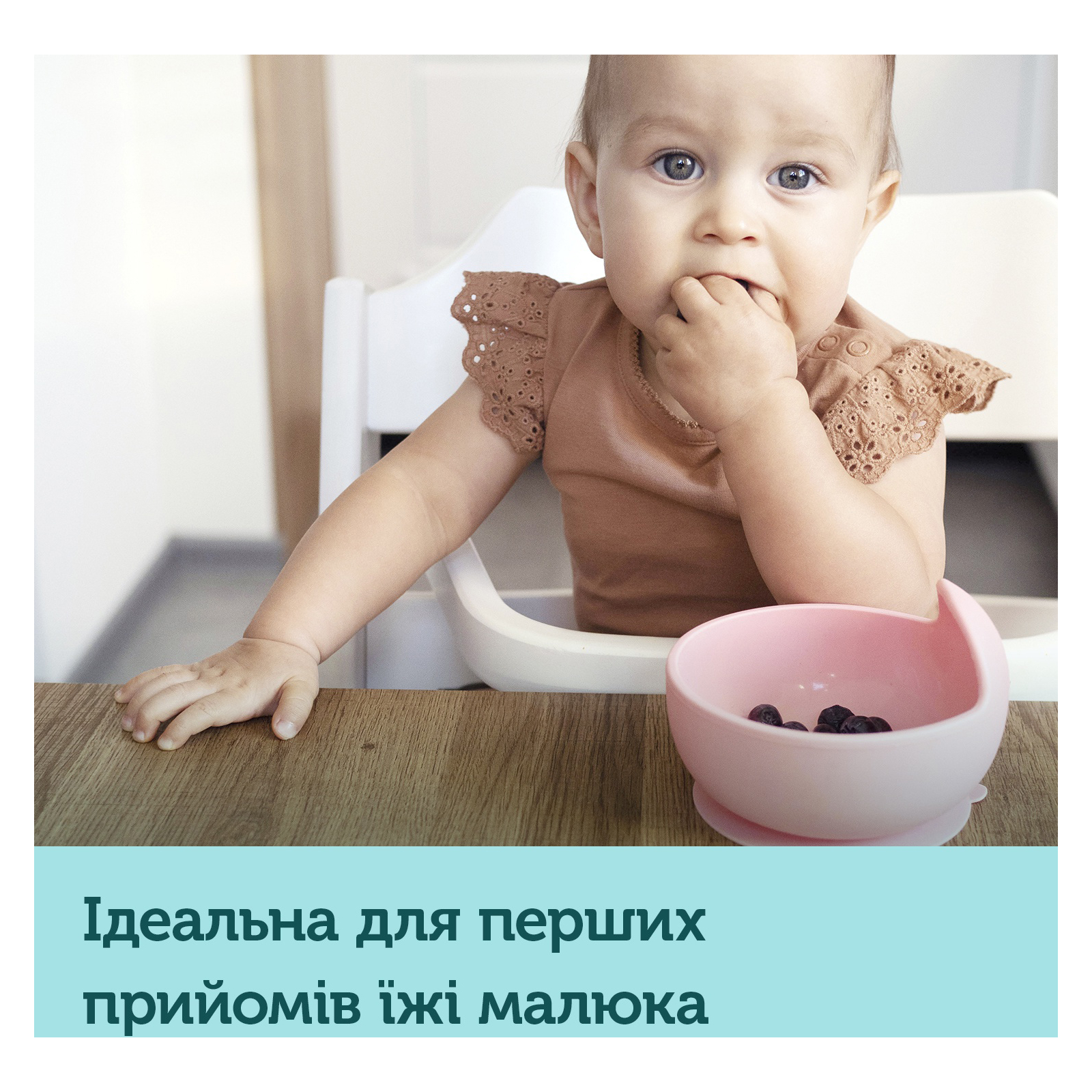 Тарелка детская Canpol babies силиконовая на присоске – бирюзовая (51/400_tur) изображение 3