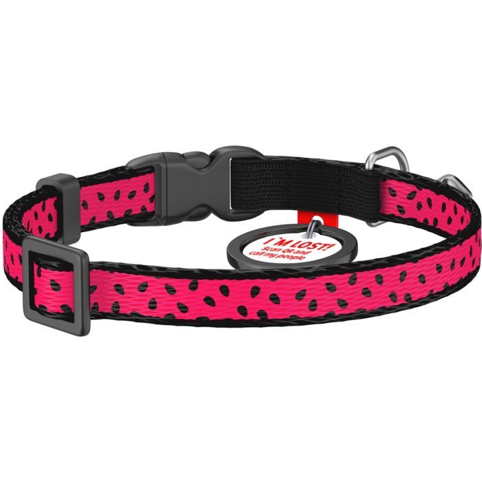 Нашийник для тварин WAUDOG Кавун з QR паспортом XS 20-30 см (5269) зображення 2