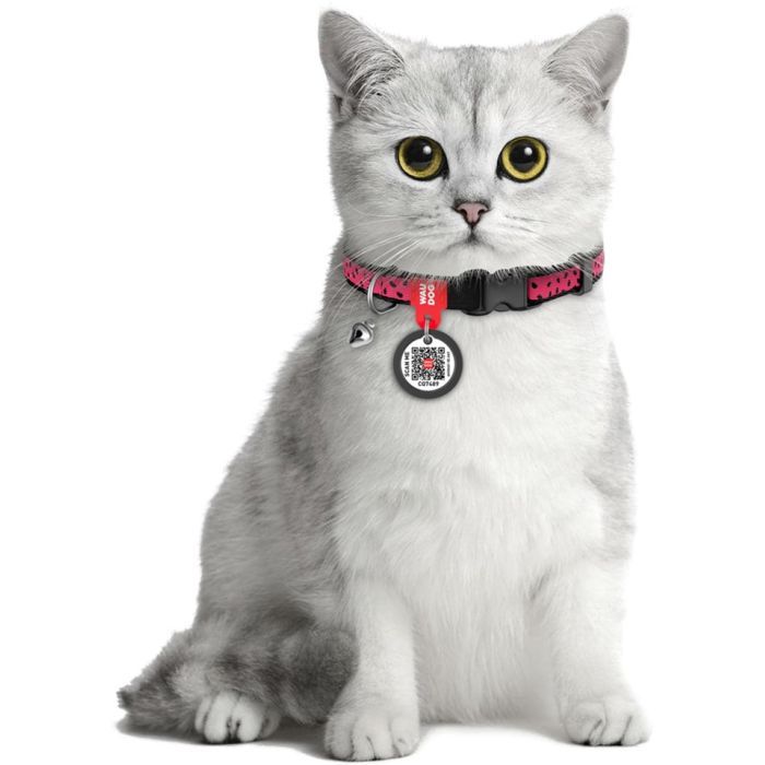 Нашийник для тварин WAUDOG Кавун з QR паспортом XS 20-30 см (5269) зображення 5