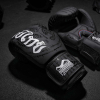 Боксерские перчатки Phantom Muay Thai Black 10oz (PHBG2329-10) изображение 8