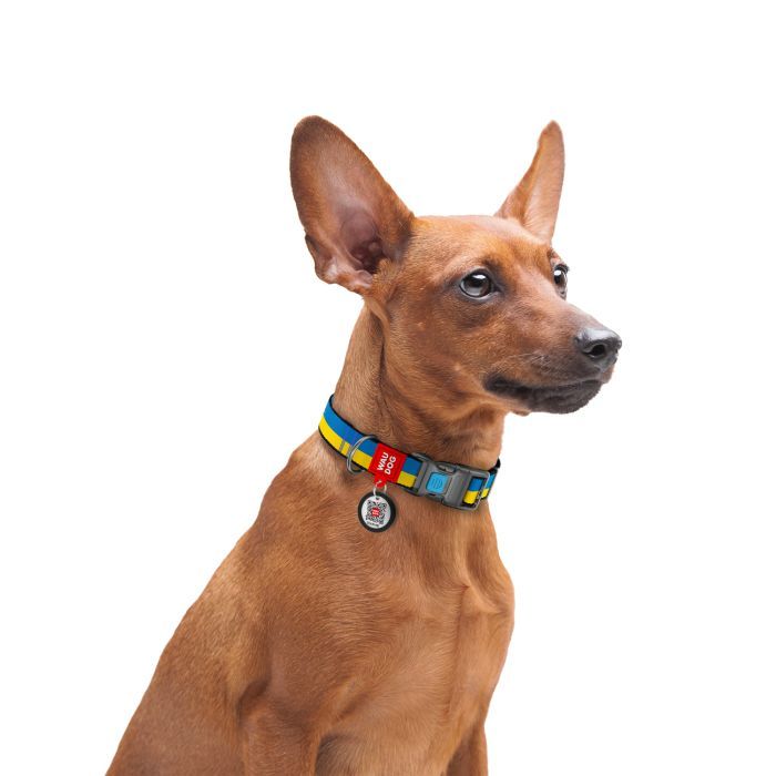 Нашийник для тварин WAUDOG Nylon з QR паспортом "Colors of freedom" пластиковий фастекс XS (278-4020) зображення 4