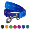 Поводок для собак WAUDOG Nylon Mono, светоотражающий S синий (521712)
