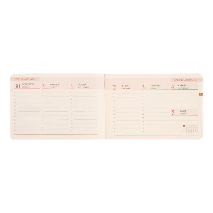 Тижневик Leo planner датований 2025 Apiro 10х15 см 128 сторінок (252571) зображення 5