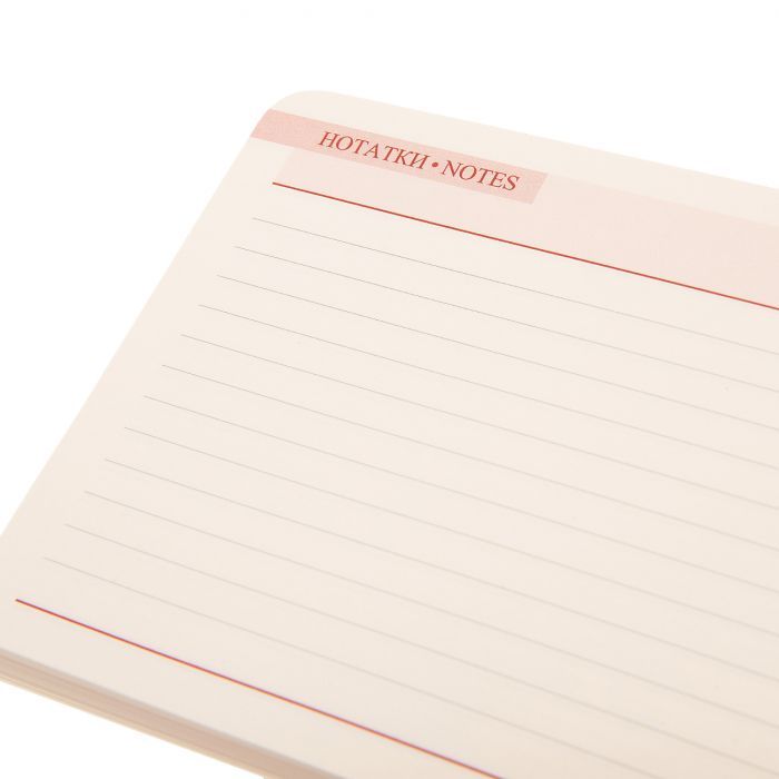 Тижневик Leo planner датований 2025 Apiro 10х15 см 128 сторінок (252571) зображення 6