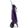 Сумка-тележка Rolser I-Max MF 2L More (IMX304-1008) (931483) изображение 3