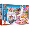Пазл Trefl Paw Patrol Скай в действии 100 элементов (5900511163681)