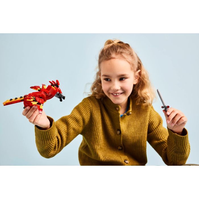 Конструктор LEGO Harry Potter Фоукс: Феникс Дамблдора (76448) изображение 9