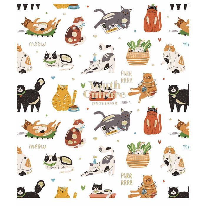 Зошит Школярик Young Culture 80 аркушів клітинка (080-3152K)