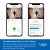 Відеодомофон TP-Link Tapo D235 (TAPO-D235) зображення 8