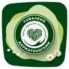 Гігієнічні прокладки Naturella Classic Night 28 шт. (8700216819305) зображення 8
