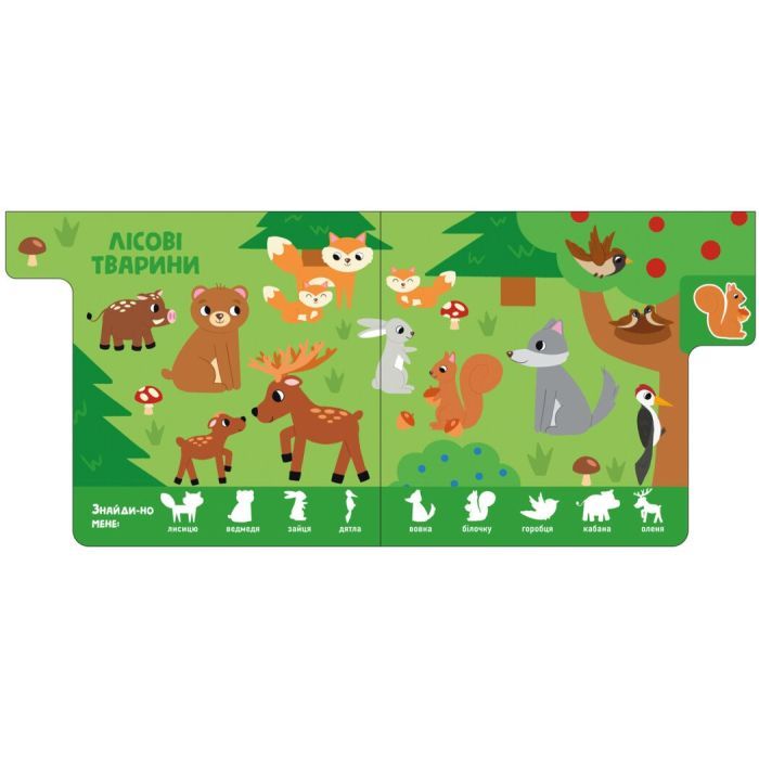 Книга Звірятка. Знайди-но мене! Ранок (9789667511296) зображення 5